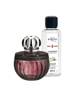 Maison Berger - Duality Plum - Gift Pack